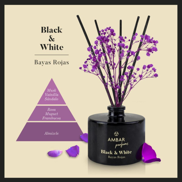 MIKADO BAYAS ROJAS 40ML (2)