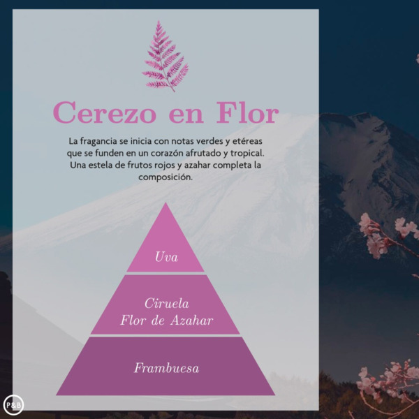 MIKADO CEREZO EN FLOR 40ML (1)