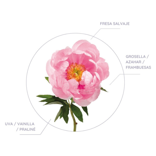 MIKADO DECORATIVO CEREZO EN FLOR DON ALGODON 60ML (DURACION 2 MESES) (2)