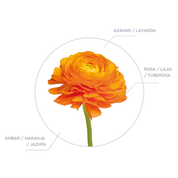 MIKADO DECORATIVO FLOR DE AZAHAR DON ALGODON 60ML (DURACION 2 MESES) (2)