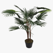 PLANTA PALMA 90CM 18 HOJAS