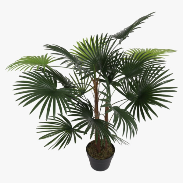 PLANTA PALMA 90CM 18 HOJAS (1)