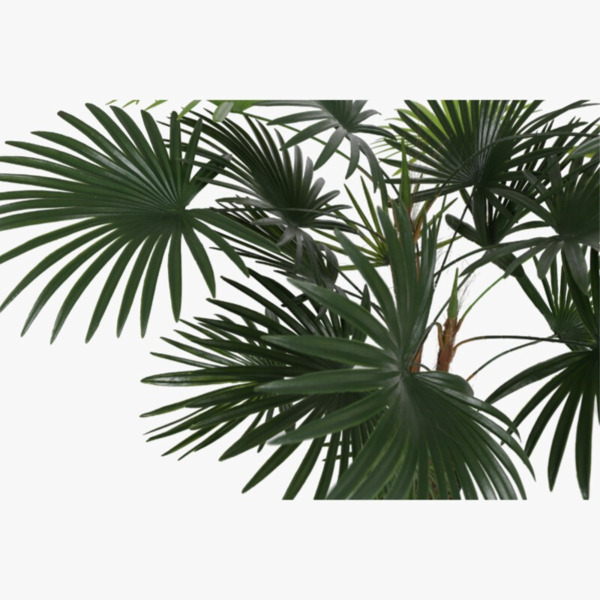 PLANTA PALMA 90CM 18 HOJAS (2)